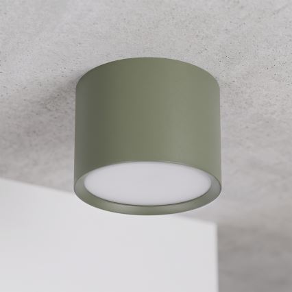 BRILAGI - Foco SMOOTH 1xGX53/15W/230V 60x82 mm verde oscuro