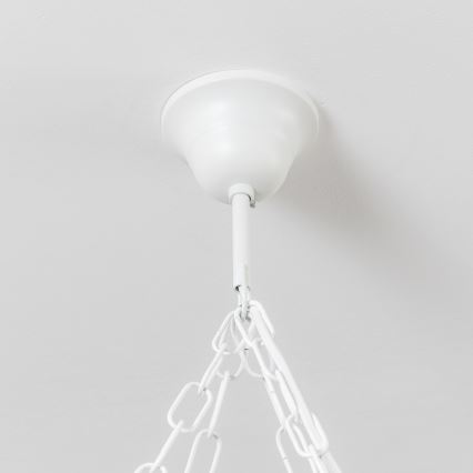 Brilagi - Lámpara colgante con cadena QUEEN 4xE14/40W/230V haya/crema