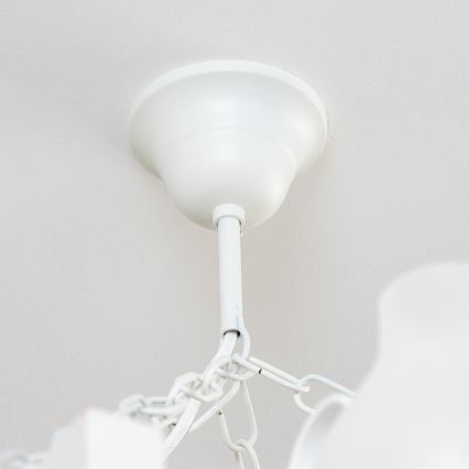 Brilagi - Lámpara colgante con cadena QUEEN 8xE14/40W/230V haya/crema