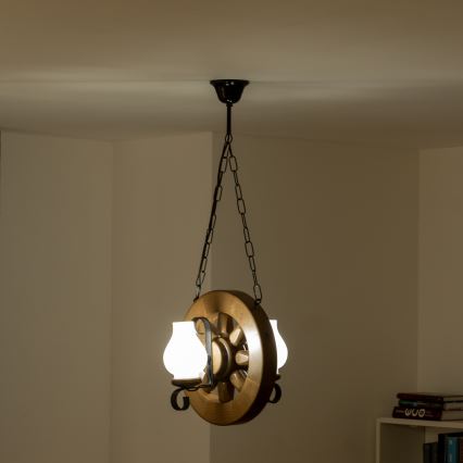 Brilagi - Lámpara colgante con cadena ROATA 2xE14/40W/230V haya/nogal