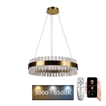 Brilagi - Lámpara colgante de cristal LED regulable HALO LED/40W/230V 3000-6500K Ø 60 cm + mando a distancia