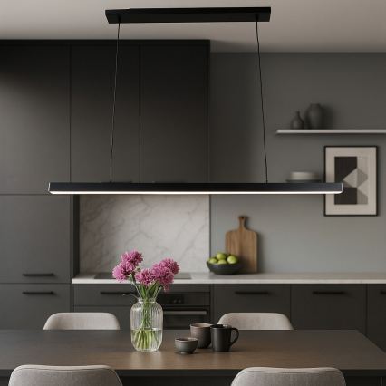 BRILAGI - Lámpara colgante LED con cable PAXIS LED/30W/230V 120 cm negro
