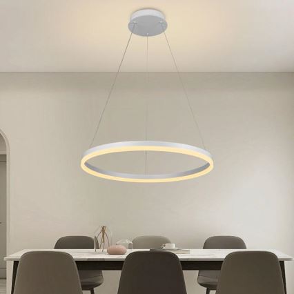 Brilagi - Lámpara colgante LED regulable con cable CIRCLE LED/42W/230V 3000-6500K Ø 60 cm + mando a distancia