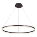 Brilagi - Lámpara colgante LED regulable CIRCLE LED/55W/230V 3000-6500K Ø 80 cm marrón + control remoto