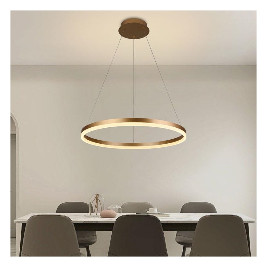 Brilagi - Lámpara colgante LED regulable con cable CIRCLE LED/42W/230V 3000-6500K Ø 60 cm + control remoto