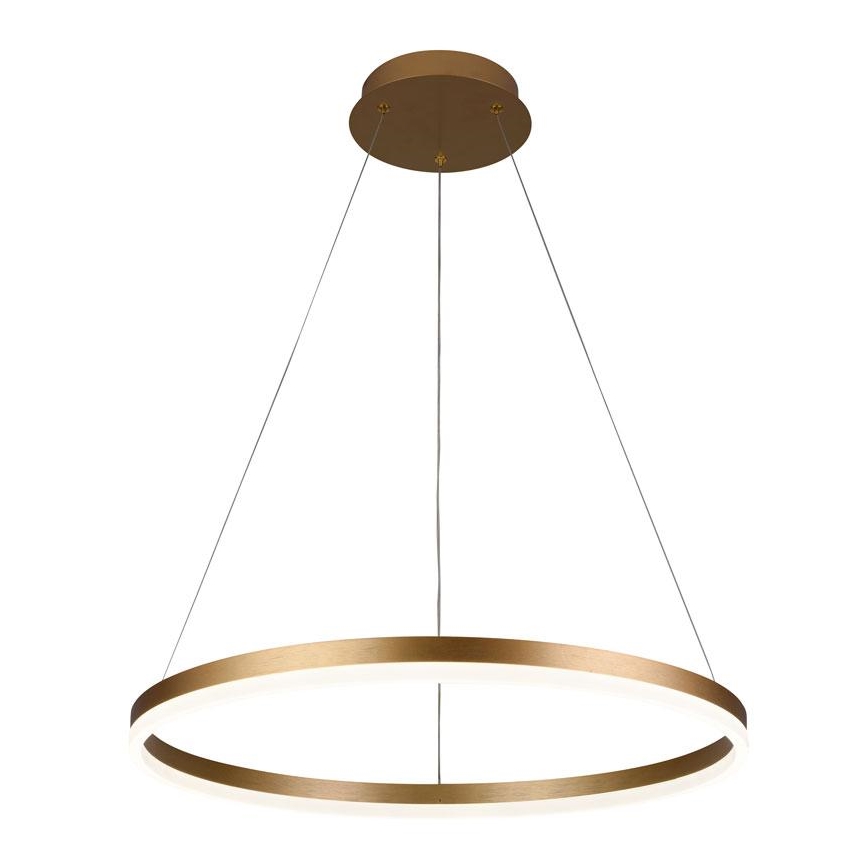 Brilagi - Lámpara colgante LED regulable con cable CIRCLE LED/42W/230V 3000-6500K Ø 60 cm + control remoto