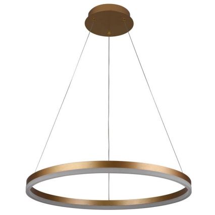 Brilagi - Lámpara colgante LED regulable con cable CIRCLE LED/42W/230V 3000-6500K Ø 60 cm + control remoto