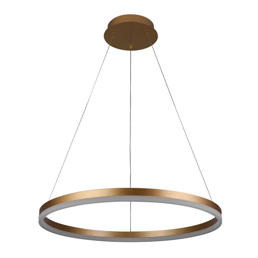 Brilagi - Lámpara colgante LED regulable con cable CIRCLE LED/42W/230V 3000-6500K Ø 60 cm + control remoto