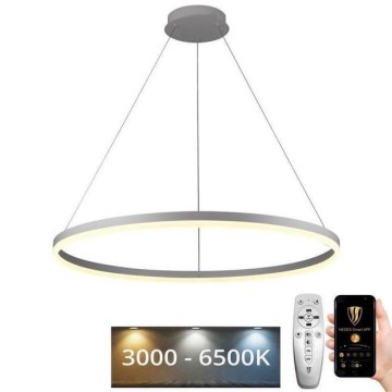 Brilagi - Lámpara colgante LED regulable con cable CIRCLE LED/55W/230V 3000-6500K diámetro 80 cm blanca + mando a distancia