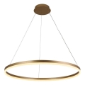 Brilagi - Lámpara colgante LED regulable con cable CIRCLE LED/55W/230V 3000-6500K Ø 80 cm dorada + mando a distancia