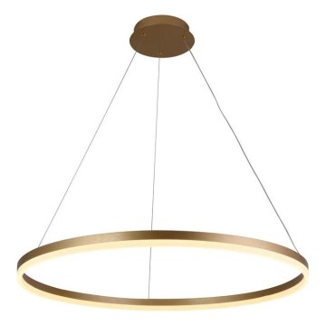 Brilagi - Lámpara colgante LED regulable con cable CIRCLE LED/55W/230V 3000-6500K Ø 80 cm dorada + mando a distancia