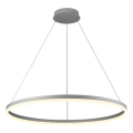 Brilagi - Lámpara colgante LED regulable con cable CIRCLE LED/55W/230V 3000-6500K Ø 80 cm plateada + mando a distancia