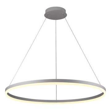 Brilagi - Lámpara colgante LED regulable con cable CIRCLE LED/55W/230V 3000-6500K Ø 80 cm plateada + mando a distancia