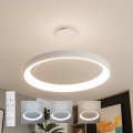 Brilagi - Lámpara colgante LED regulable con cable FALCON II LED/108W/230V 3000-6500K Ø 80 cm blanca + mando a distancia
