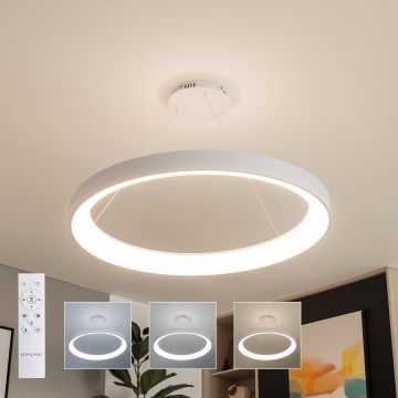 Brilagi - Lámpara colgante LED regulable con cable FALCON II LED/108W/230V 3000-6500K Ø 80 cm blanca + mando a distancia