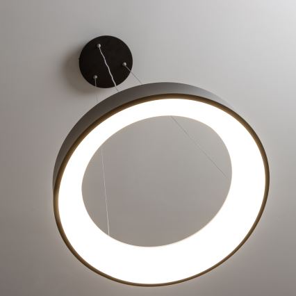Brilagi - Lámpara colgante LED regulable con cable FALCON LED/80W/230V 3000-6500K diámetro 60 cm negro + mando a distancia