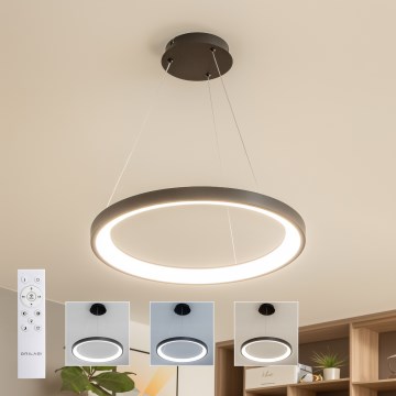 Brilagi - Lámpara colgante LED regulable con cable FALCON SLIM LED/42W/230V 3000-6500K Ø 50 cm negra + mando a distancia