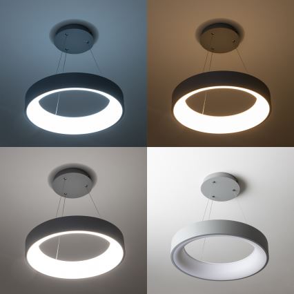 Brilagi - Lámpara colgante LED regulable en cable FALCON LED/40W/230V 3000–6500K Ø45 cm gris + control remoto