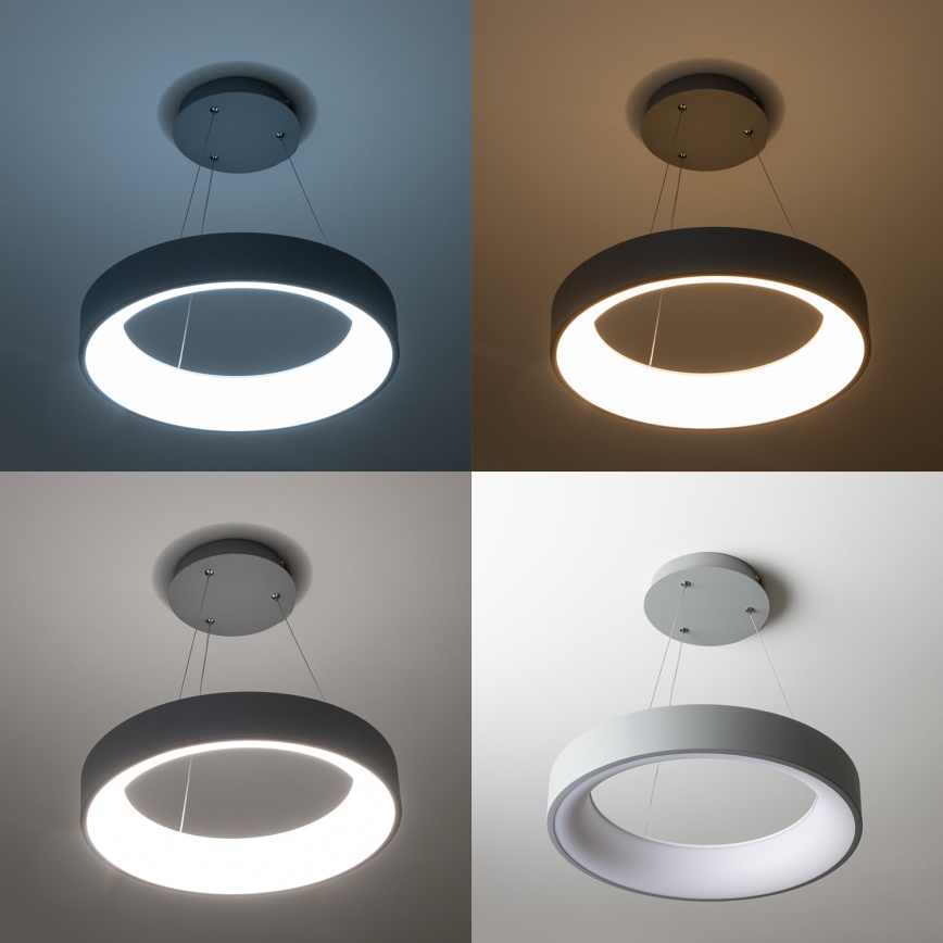 Brilagi - Lámpara colgante LED regulable en cable FALCON LED/40W/230V 3000–6500K Ø45 cm gris + control remoto