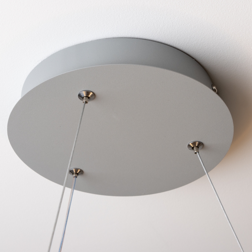 Brilagi - Lámpara colgante LED regulable en cable FALCON LED/40W/230V 3000–6500K Ø45 cm gris + control remoto