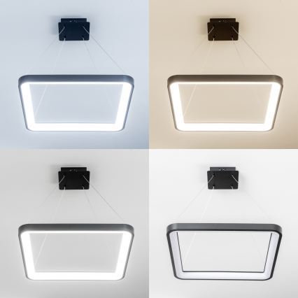Brilagi - Lámpara colgante LED regulable FALCON SLIM LED/50W/230V 3000-6500K 50x50 cm negra + mando a distancia