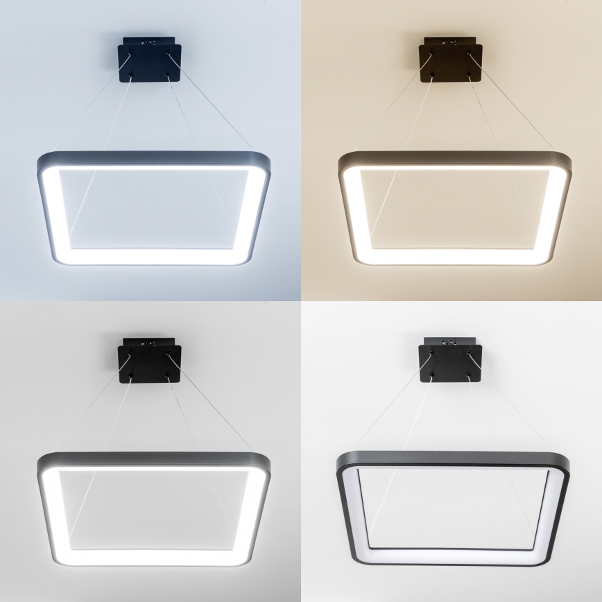 Brilagi - Lámpara colgante LED regulable FALCON SLIM LED/50W/230V 3000-6500K 50x50 cm negra + mando a distancia