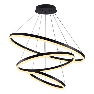 Brilagi - Lámpara colgante LED regulable de cable CIRCLE LED/125W/230V 3000-6500K Ø 80 cm negra + mando a distancia