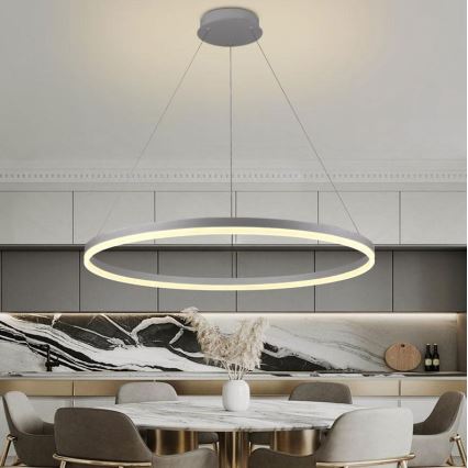 Brilagi - Lámpara colgante LED regulable con cable CIRCLE LED/55W/230V 3000-6500K Ø 80 cm plateada + mando a distancia