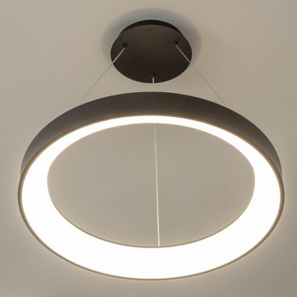 BRILAGI - Lámpara colgante LED regulable suspendida por cable FALCON II LED/99W/230V 3000-6500K diámetro 60 cm negra + mando a distancia