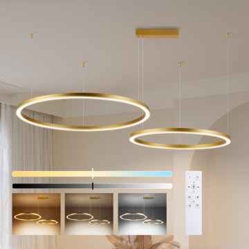 Brilagi - Lámpara colgante LED regulable en cable PORTOFINO LED/98W/230V 3000-6000K acabado dorado + mando a distancia