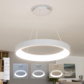 BRILAGI - Lámpara colgante LED regulable FALCON II LED/99W/230V 3000-6500K Ø 60 cm blanca + mando a distancia
