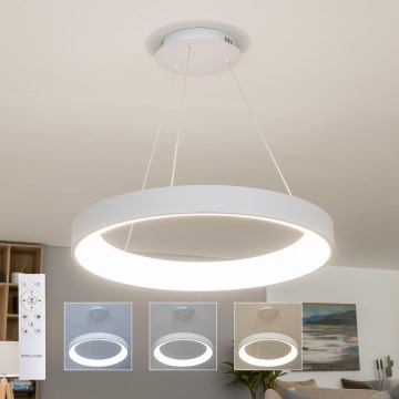 Brilagi - Lámpara colgante LED regulable FALCON II LED/99W/230V 3000-6500K Ø 60 cm color blanco + control remoto