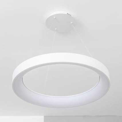 Brilagi - Lámpara colgante LED regulable FALCON II LED/99W/230V 3000-6500K Ø 60 cm color blanco + control remoto