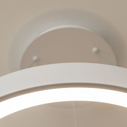 Brilagi - Lámpara colgante LED regulable FALCON II LED/99W/230V 3000-6500K Ø 60 cm color blanco + control remoto