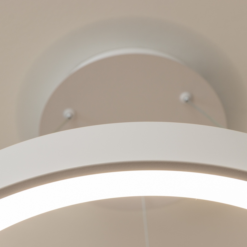 Brilagi - Lámpara colgante LED regulable FALCON II LED/99W/230V 3000-6500K Ø 60 cm color blanco + control remoto
