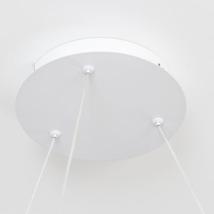 Brilagi - Lámpara colgante LED regulable FALCON II LED/99W/230V 3000-6500K Ø 60 cm color blanco + control remoto