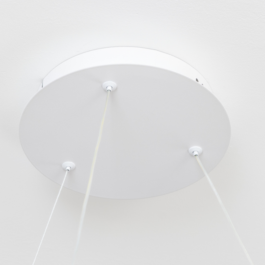 Brilagi - Lámpara colgante LED regulable FALCON II LED/99W/230V 3000-6500K Ø 60 cm color blanco + control remoto