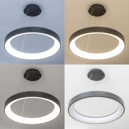 Brilagi - Lámpara colgante LED regulable con cable FALCON II LED/99W/230V 3000-6500K Ø 60 cm negra + mando a distancia
