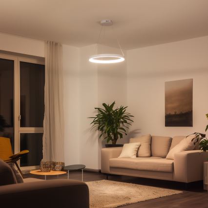 Brilagi - Lámpara colgante LED regulable con cable de suspensión FALCON SLIM LED/42W/230V 3000-6500K Ø 50 cm blanca + control remoto