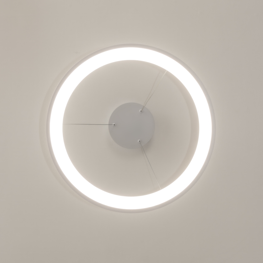 Brilagi - Lámpara colgante LED regulable con cable de suspensión FALCON SLIM LED/42W/230V 3000-6500K Ø 50 cm blanca + control remoto