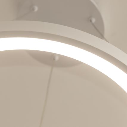 Brilagi - Lámpara colgante LED regulable con cable de suspensión FALCON SLIM LED/42W/230V 3000-6500K Ø 50 cm blanca + control remoto
