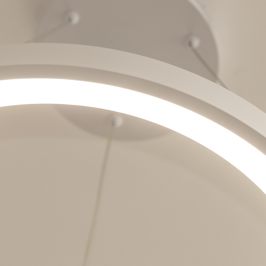 Brilagi - Lámpara colgante LED regulable con cable de suspensión FALCON SLIM LED/42W/230V 3000-6500K Ø 50 cm blanca + control remoto