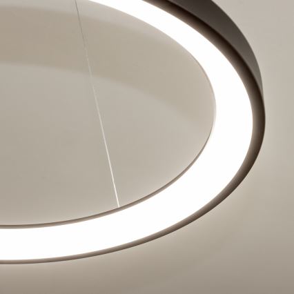 Brilagi - Lámpara colgante LED regulable con cable FALCON SLIM LED/42W/230V 3000-6500K Ø 50 cm negra + mando a distancia