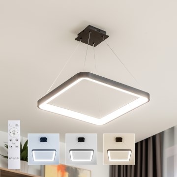 Brilagi - Lámpara colgante LED regulable FALCON SLIM LED/50W/230V 3000-6500K 50x50 cm negra + mando a distancia