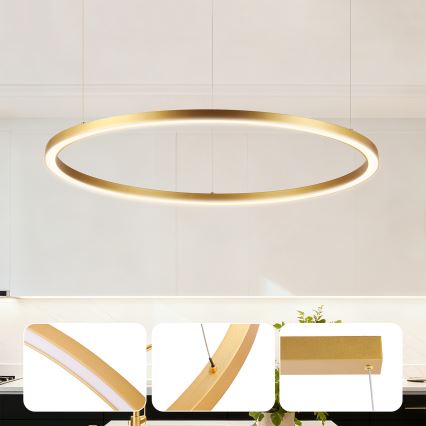 Brilagi - Lámpara colgante regulable con cable PORTOFINO LED/60W/230V 3000-6000K Ø 80 cm dorada + control remoto