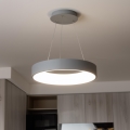 Brilagi - Lámpara colgante LED regulable sobre cable FALCON LED/80W/230V 3000-6500K diámetro 60 cm gris + mando a distancia