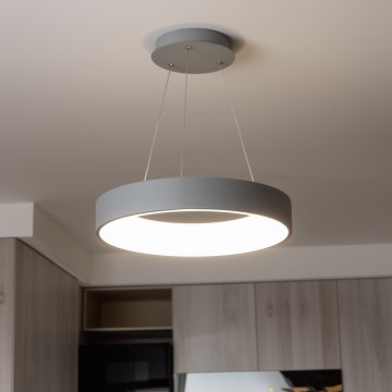 Brilagi - Lámpara colgante LED regulable sobre cable FALCON LED/80W/230V 3000-6500K diámetro 60 cm gris + mando a distancia