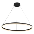 Brilagi - Lámpara colgante LED regulable suspendida en cable CIRCLE LED/55W/230V 3000-6500K Ø 80 cm negra + mando a distancia