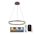 Brilagi - Lámpara colgante LED regulable suspendida por cable CIRCLE LED/42W/230V 3000-6500K Ø 60 cm marrón + mando a distancia