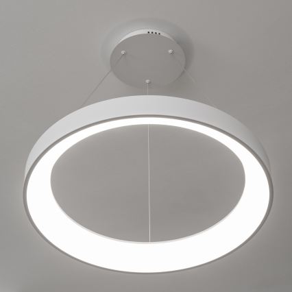 BRILAGI - Lámpara colgante LED regulable FALCON II LED/99W/230V 3000-6500K Ø 60 cm blanca + mando a distancia